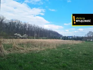 Działka 5 200,00 m², Łubnice, Sprzedaż
