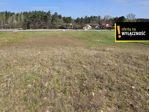 Działka 2 500,00 m², Napęków, Sprzedaż