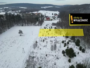 Działka 2 894,00 m², Ociesęki, Sprzedaż
