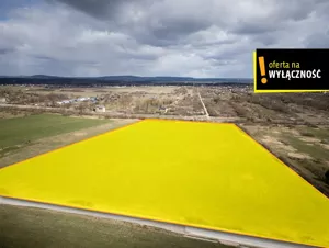 Działka 40 600,00 m², Piekoszów, Sprzedaż