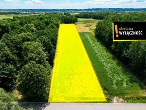 Działka 6 030,00 m², Płucki, Sprzedaż