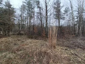 Działka 3 984,00 m², Przyłogi, Sprzedaż