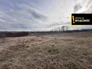 Działka 9 652,00 m², Racibórz, Sprzedaż