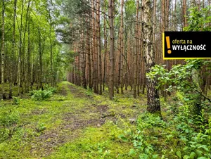 Działka 19 200,00 m², Strzegomek, Sprzedaż