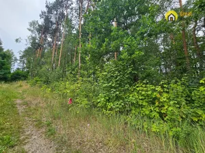 Działka 10 069,00 m², Strzegomek, Sprzedaż