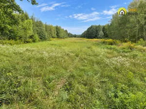 Działka 21 900,00 m², Szczeka, Sprzedaż