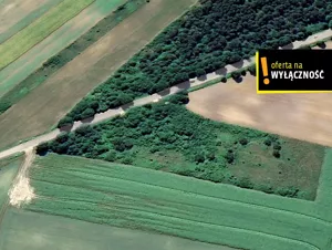 Działka 11 000,00 m², Wierzbie, Sprzedaż