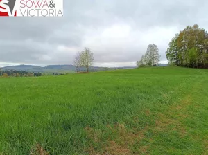 Działka 3 173,00 m², Bartnica, Sprzedaż