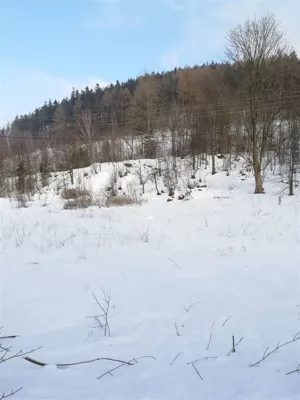 Działka 4 600,00 m², Boguszów-Gorce, Sprzedaż