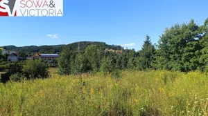Działka 2 447,00 m², Boguszów-Gorce, Sprzedaż