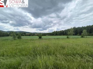 Działka 1 200,00 m², Borówno, Sprzedaż