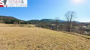 Działka 17 800,00 m², Chełmsko Śląskie, Sprzedaż