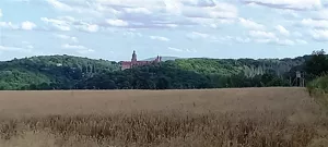 Działka 3 046,00 m², Cieszów, Sprzedaż