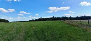 Działka 4 969,00 m², Cieszów, Sprzedaż