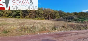 Działka 1 503,00 m², Cieszów, Sprzedaż