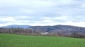 Działka 1 735,00 m², Dziećmorowice, Sprzedaż