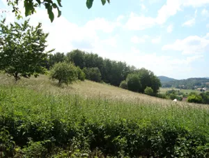 Działka 2 142,00 m², Dziećmorowice, Sprzedaż