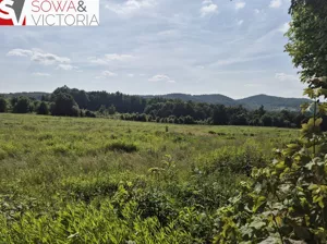 Działka 1 426,00 m², Dziećmorowice, Sprzedaż