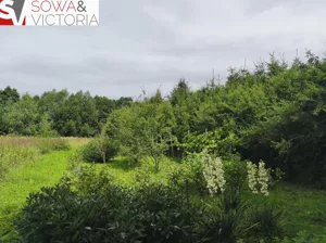Działka 4 900,00 m², Dziećmorowice, Sprzedaż
