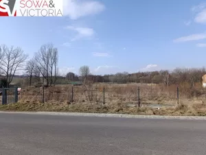 Działka 7 358,00 m², Dziećmorowice, Sprzedaż