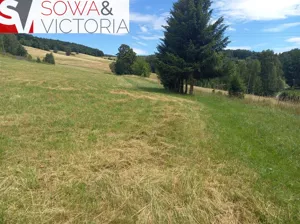 Działka 1 341,00 m², Głuszyca, Sprzedaż