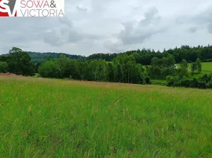 Działka 1 519,00 m², Głuszyca, Sprzedaż