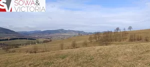Działka 1 041,00 m², Głuszyca, Sprzedaż
