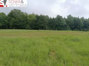 Działka 2 016,00 m², Głuszyca, Sprzedaż