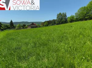 Działka 1 341,00 m², Głuszyca, Sprzedaż
