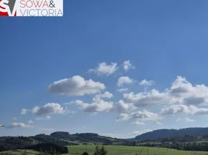Działka 2 825,00 m², Głuszyca, Sprzedaż
