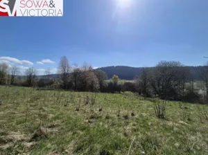 Działka 3 183,00 m², Głuszyca Górna, Sprzedaż