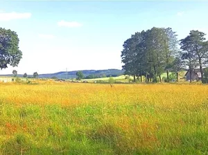 Działka 3 500,00 m², Gorzeszów, Sprzedaż