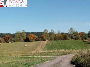 Działka 1 107,00 m², Gorzeszów, Sprzedaż