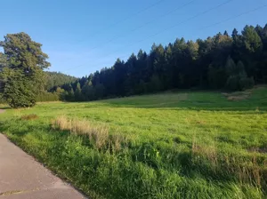 Działka 8 208,00 m², Grzędy, Sprzedaż