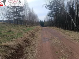 Działka 5 216,00 m², Grzędy, Sprzedaż