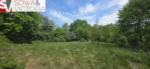 Działka 5 081,00 m², Jaskulin, Sprzedaż