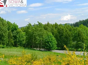 Działka 1 985,00 m², Jedlina-Zdrój, Sprzedaż