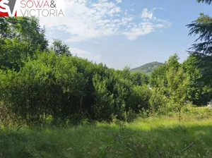 Działka 771,00 m², Jedlina-Zdrój, Sprzedaż