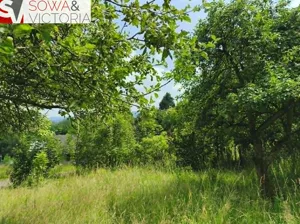 Działka 3 200,00 m², Jedlina-Zdrój, Sprzedaż