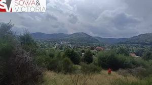 Działka 13 480,00 m², Jedlina-Zdrój, Sprzedaż