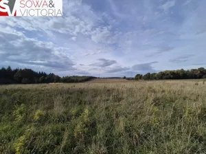 Działka 7 600,00 m², Kłaczyna, Sprzedaż