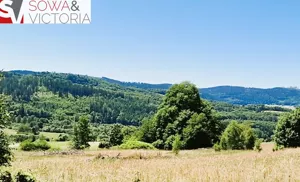 Działka 3 002,00 m², Kolce, Sprzedaż