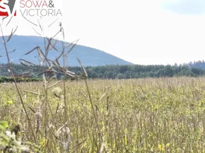 Działka 2 033,00 m², Lubomin, Sprzedaż