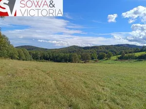 Działka 3 000,00 m², Michałkowa, Sprzedaż