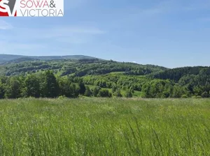 Działka 3 000,00 m², Michałkowa, Sprzedaż
