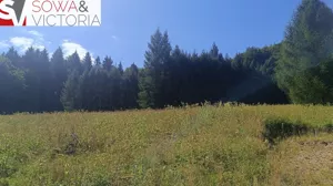 Działka 16 150,00 m², Michałkowa, Sprzedaż