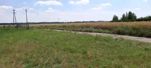 Działka 2 000,00 m², Międzyrzecze, Sprzedaż