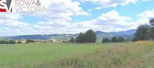 Działka 3 000,00 m², Niedźwiedzica, Sprzedaż