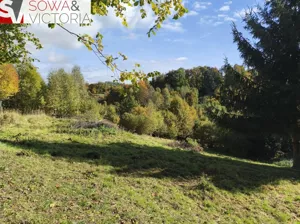 Działka 2 408,00 m², Niedźwiedzica, Sprzedaż