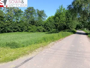 Działka 3 800,00 m², Nowe Siodło, Sprzedaż